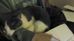 2012-12-13_05-13-48_116